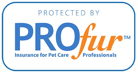 Pets Inc Vancouver Cat Sitting & In Home Animal Nursing