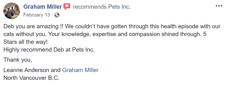 Pets Inc Vancouver Cat Sitting & In Home Animal Nursing